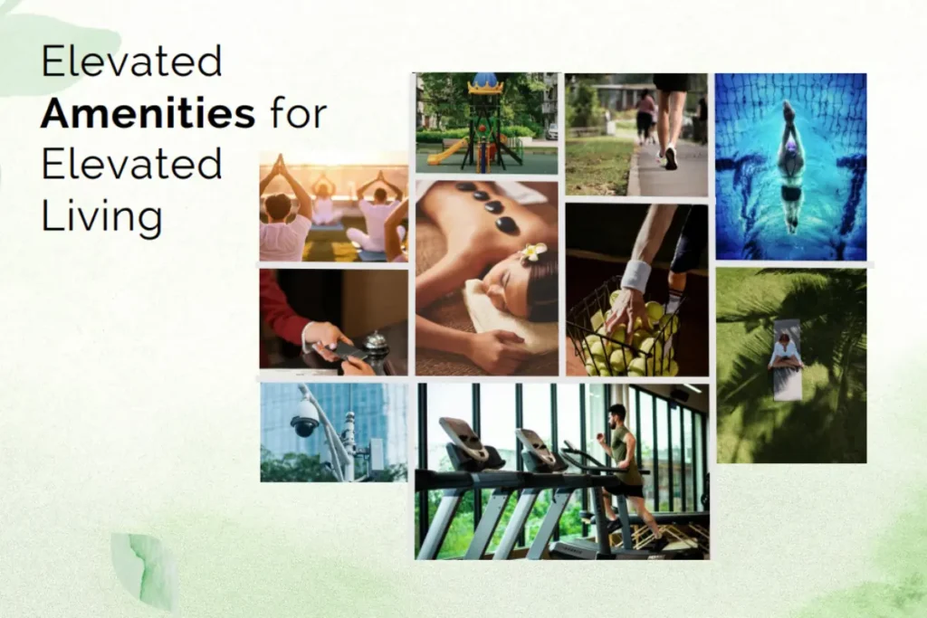 Aura Sector 79 Amenities